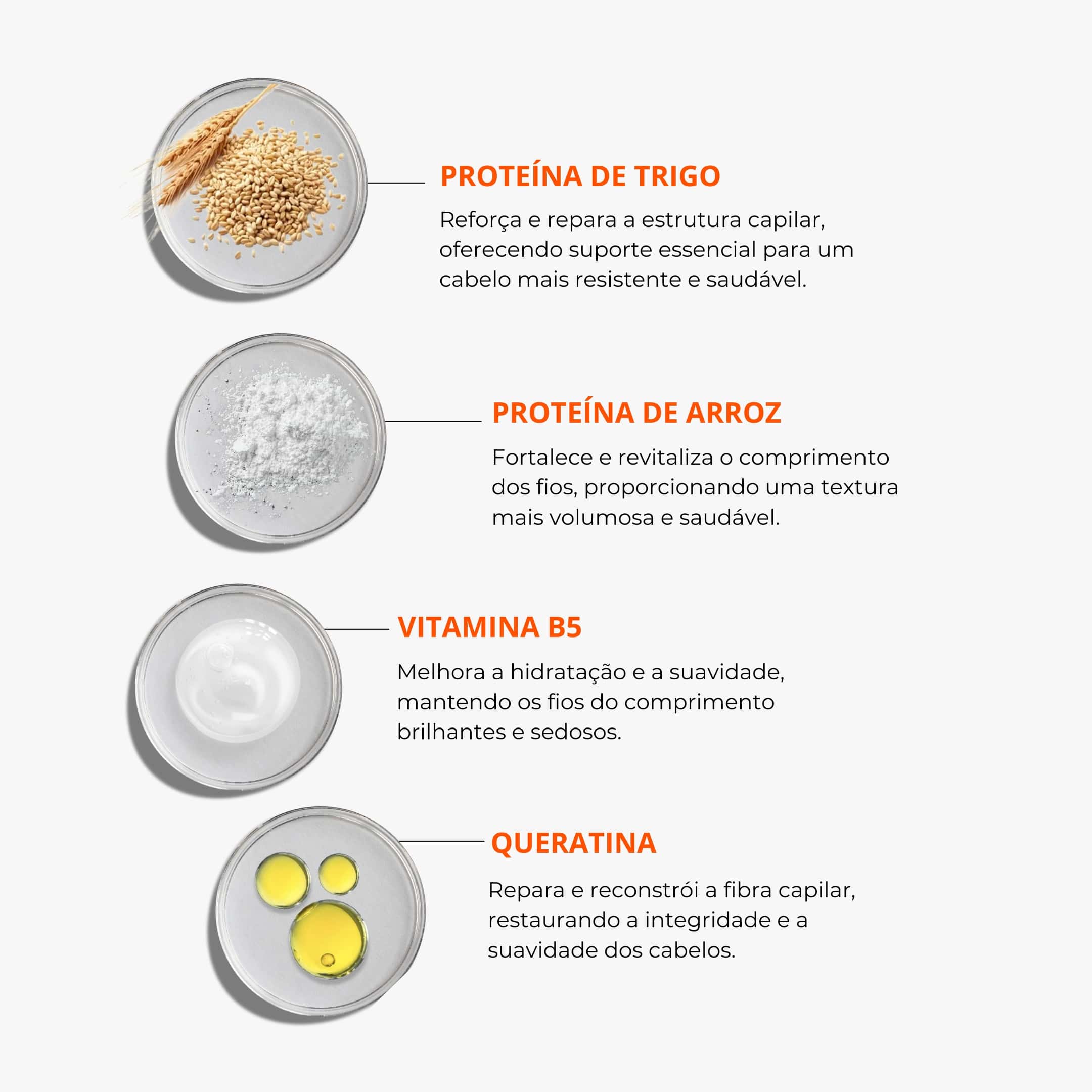 COMPRE 1 PROTEÍNA E GANHE OUTRA + NECESSAIRE